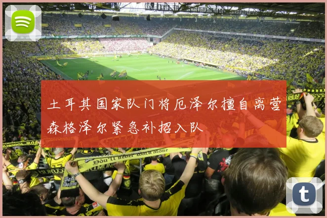土耳其国家队门将厄泽尔擅自离营森格泽尔紧急补招入队