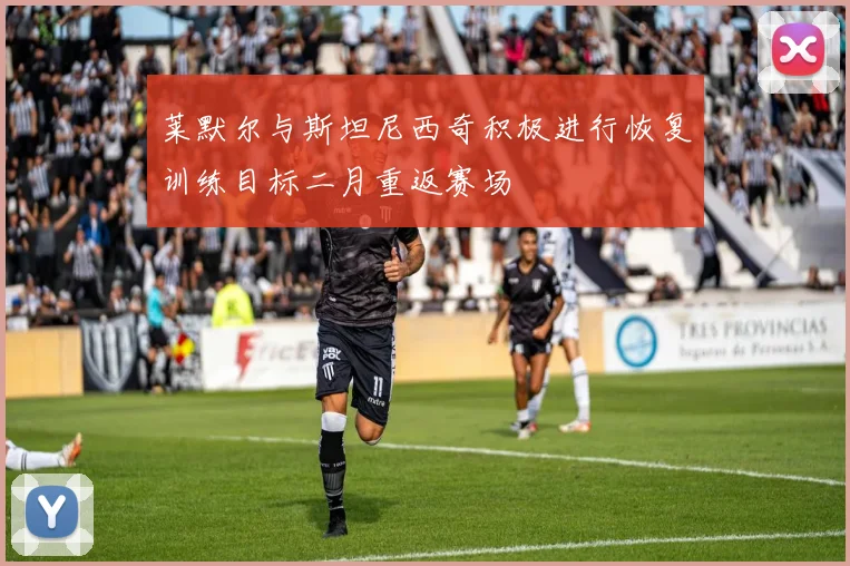 莱默尔与斯坦尼西奇积极进行恢复训练目标二月重返赛场